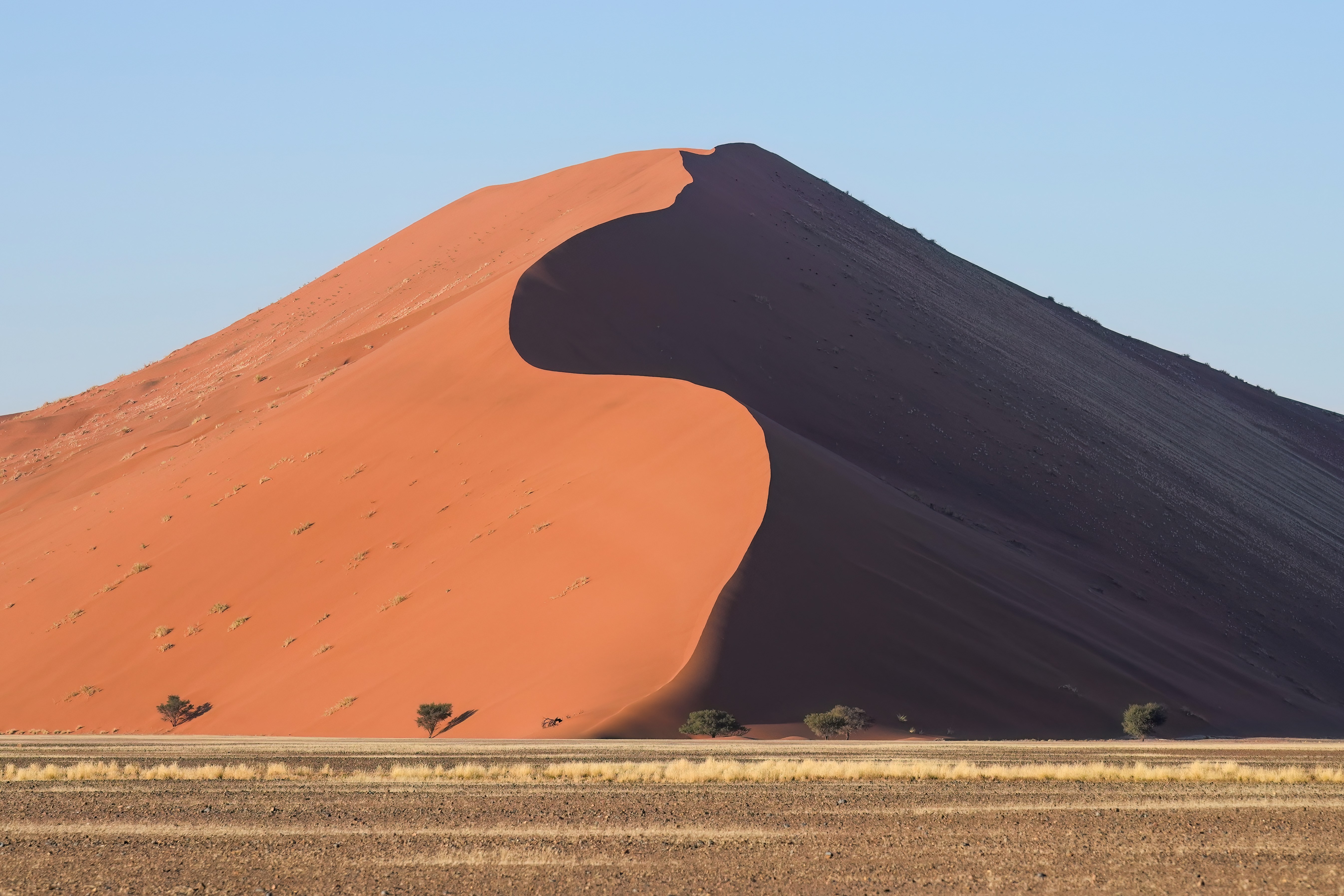 Red dunes and dead camelthorn trees at Deadvlei, Sossusvlei, Namibia